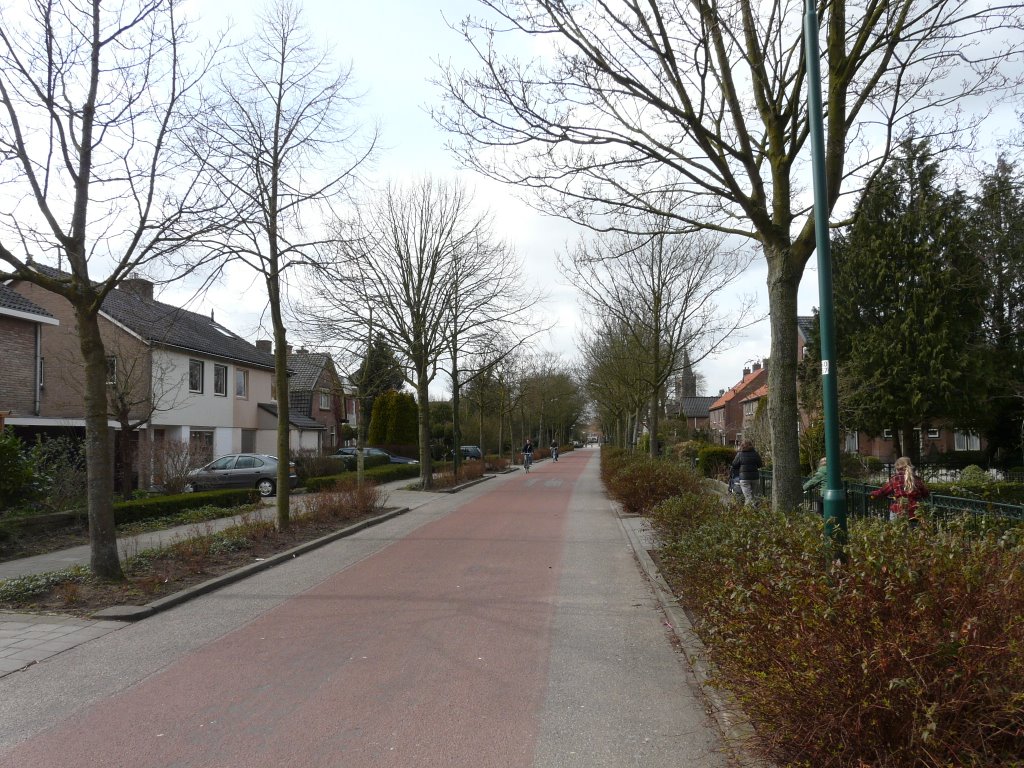 De Loerikseweg, zicht op noordwesten, Houten by David Jimmink