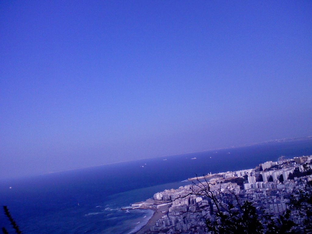 ALGER/vue panoramique by S.LAK