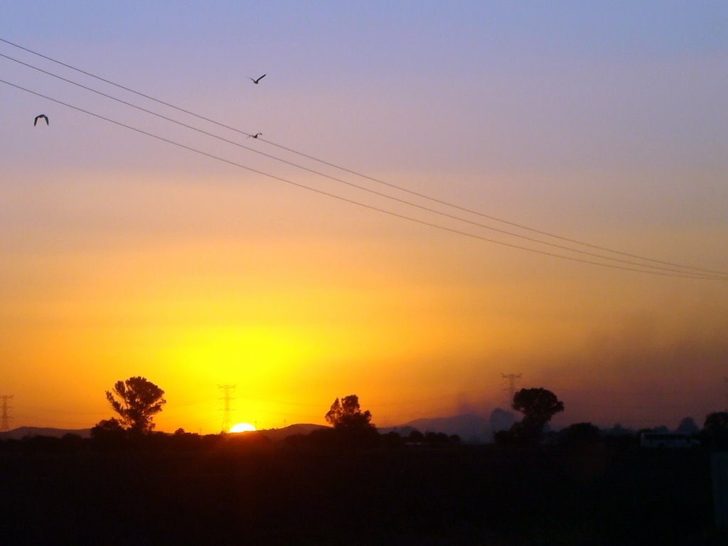 MEXICO Tequisquiapan, Atardecer en carretera by Talavan