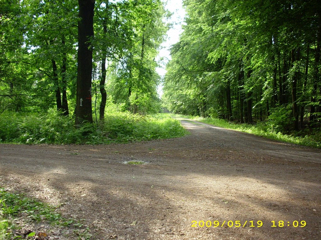 H©) Mai 2009 / Am weißen Kreuz, Wegkreuzung by Hannes Th.