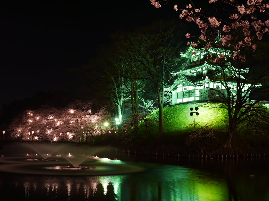 SAKURA NIGHT, TAKADA(3) by sedgevalley