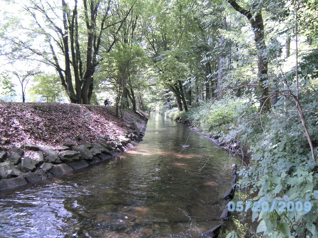 Düsseldorf-Benrath, Düsseldorf, Germany by agronchik