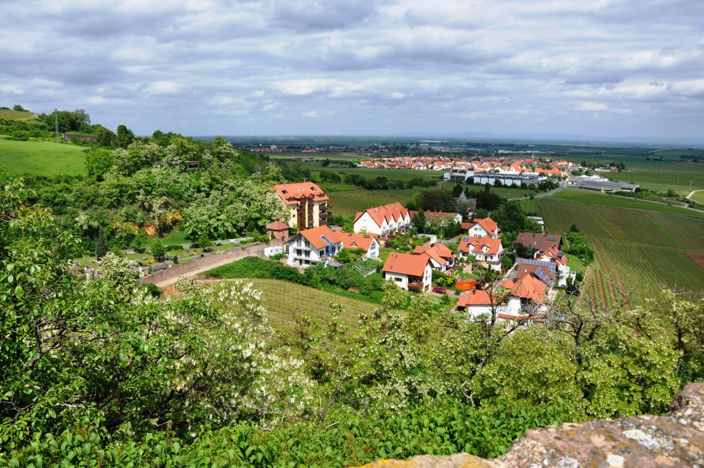 View from the tower of Neuleiningen Castle by ladybird12