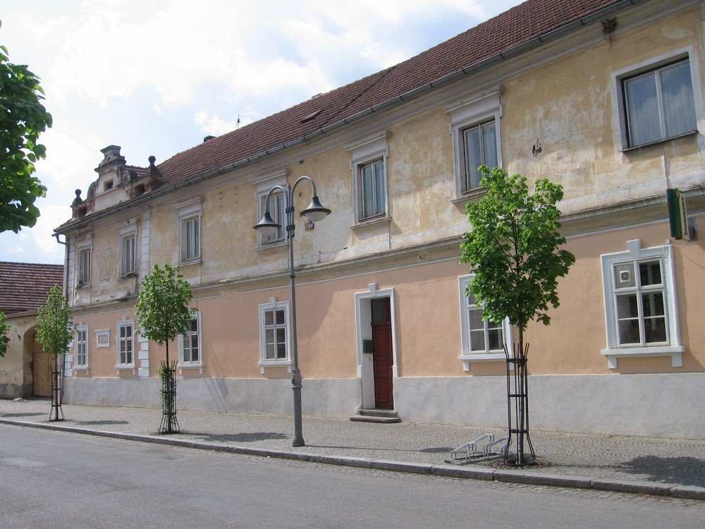 Kamýk nad Vltavou (09.05.2009) by Richard Černý