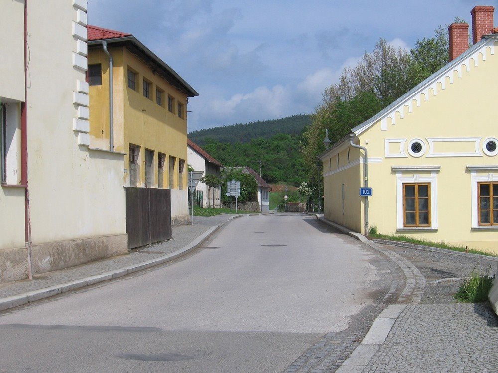 Kamýk nad Vltavou (09.05.2009) by Richard Černý