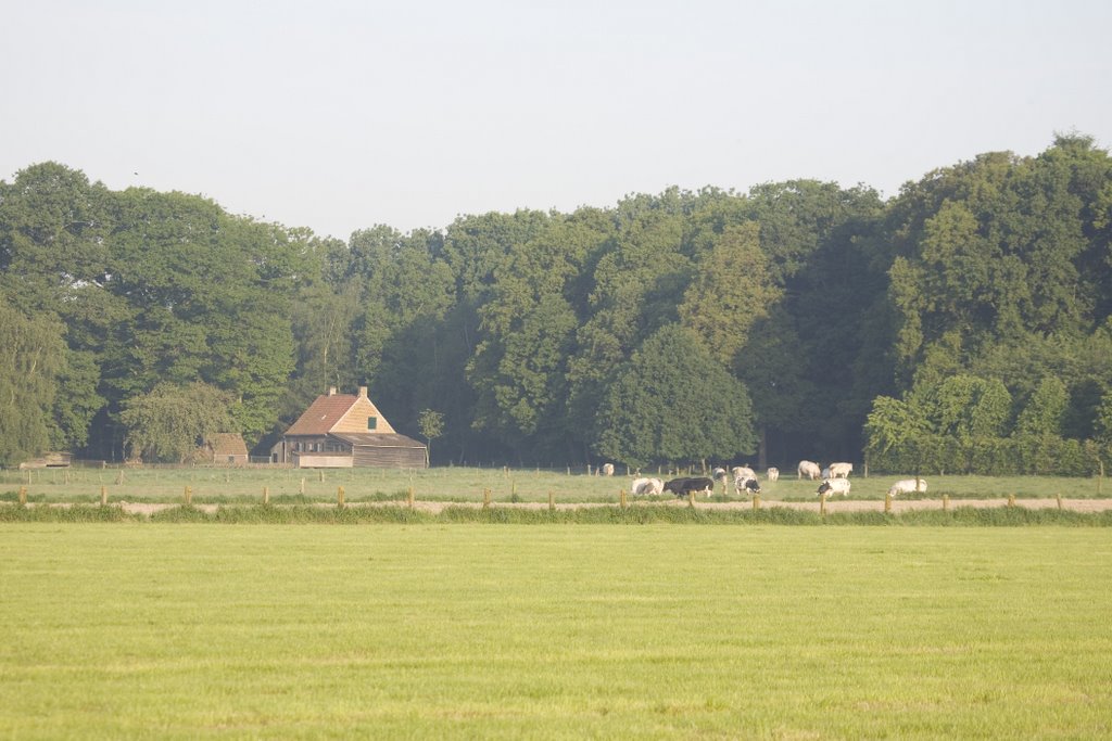 Woning in de Meikensbossen, gezien vanaf de Ankelaarstraat te Dentergem, BE by desmet.geert