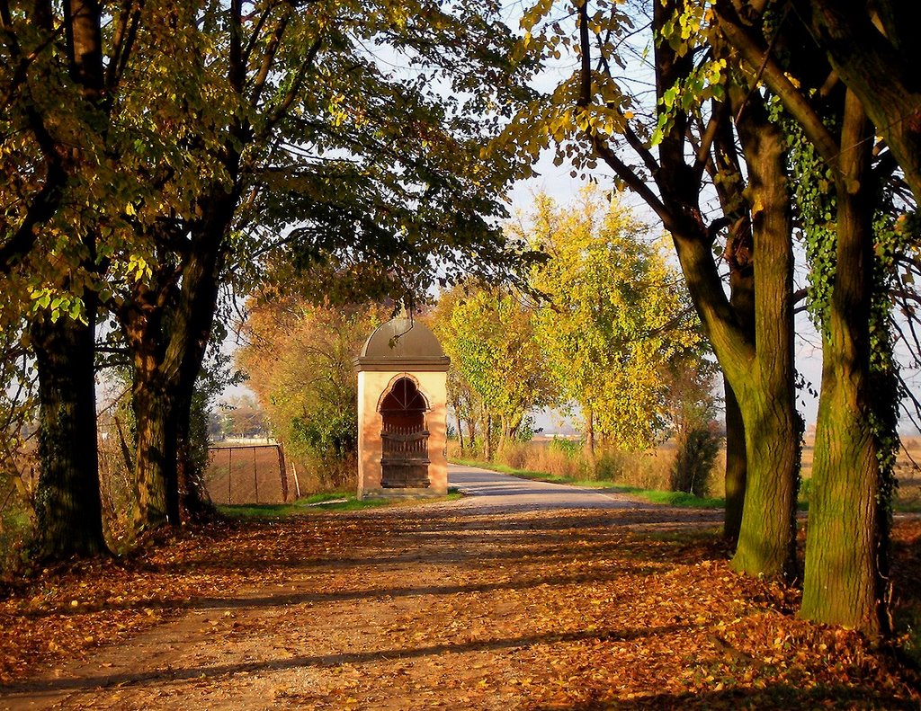 Autunno a Coriano con capitello by OrazioFerdin