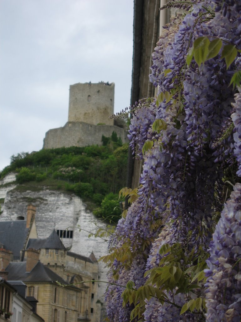 France, Wisteria floribunda e castello by ad vitam et terrae nobilis