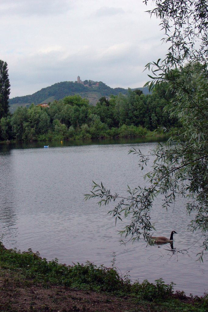 Bruchsee und Burg Starkenburg by oekolampad