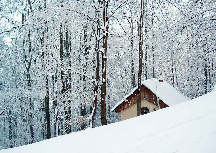 Kalwaria Zebrzydowska - hill next to monastery in winter by Mikołaj Walanus