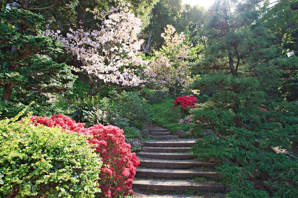 A trail near Moonview house at Hakone Garden by verygreen