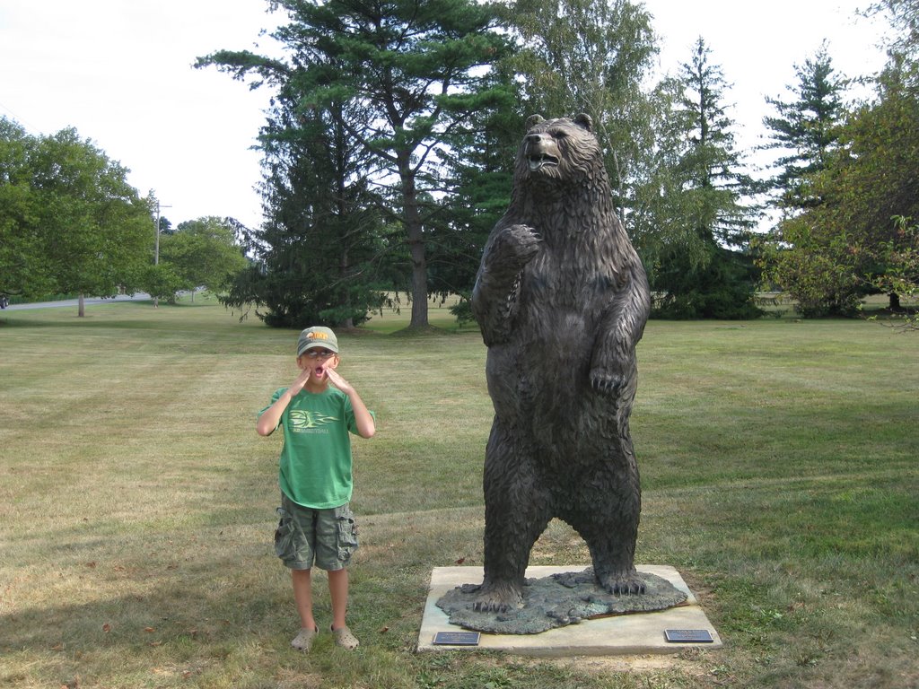 Delaware Natural History Museum Bear Attack by aplynch