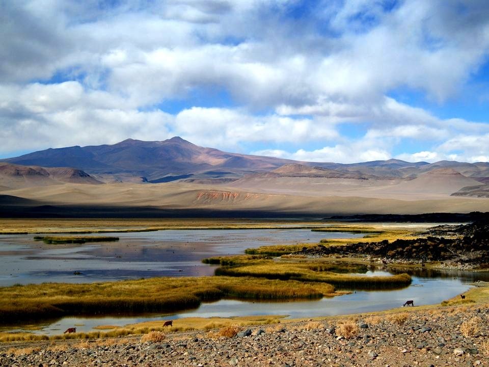 Laguna de Antofagasta by kelly Davico