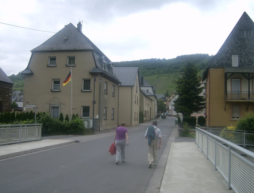 Moselstraße, Wintrich, Germany by matt_rf