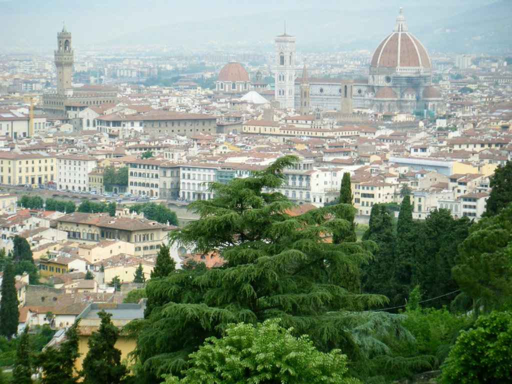 Florencia desde San Miniato by turbica