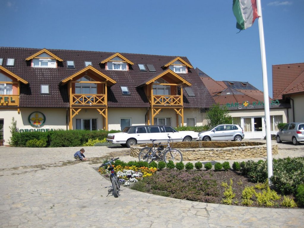 Entrance of the Hotel by MBagyinszky