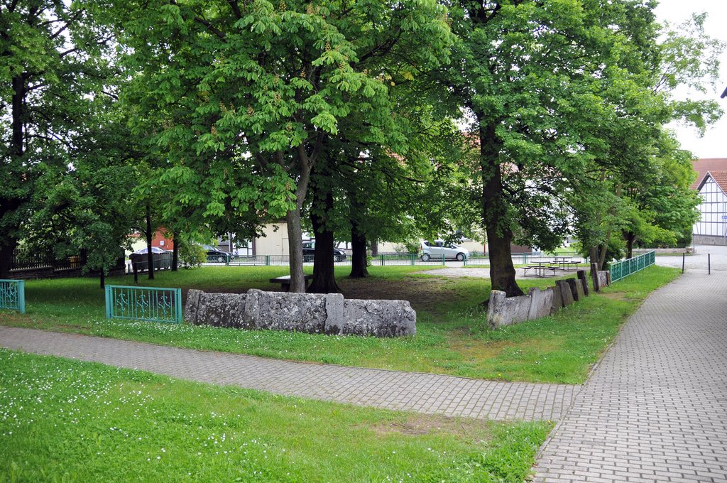 Ehemalige Dingstätte in Kammerforst am Nationalpark Hainich 21.05.2009 by Harald Rockstuhl