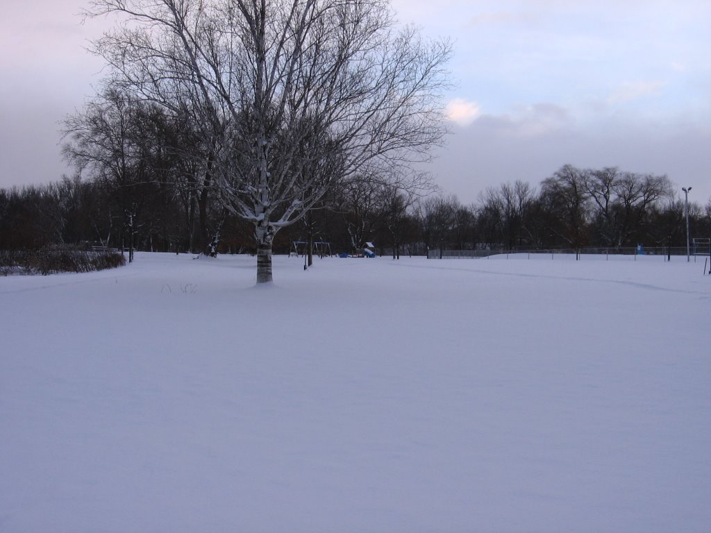 Gibbons Park - snow by Mad__Max