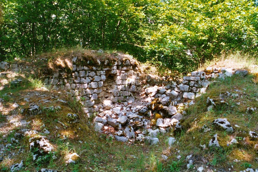 Ruines du château de Rochefort 3 by monsieur-hulot