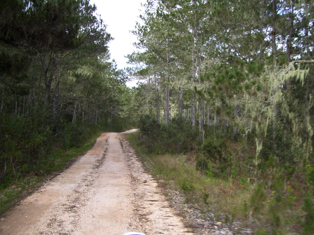 Carretera Los Arroyos-Duvergé 3 by polerp1000