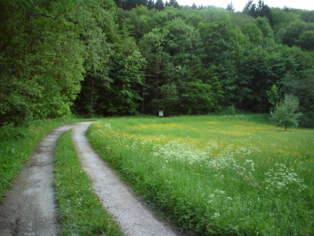 Feldweg bei Oberrot by frank-the-tank