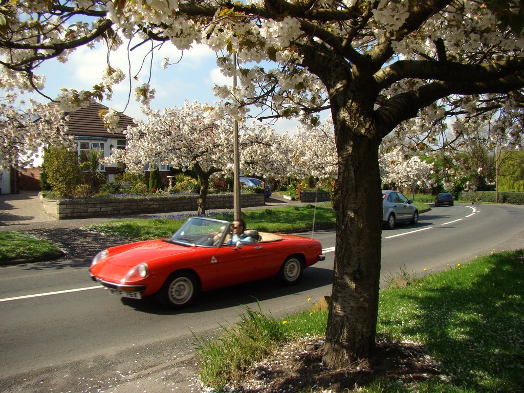 Springtime on Hutcliffe Wood Road, Sheffield S8 by sixxsix