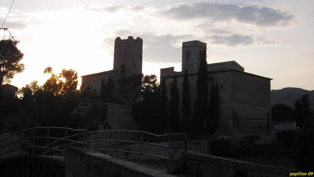 Sant Pere de Ribes, Barcelona, Spain by papillon 09