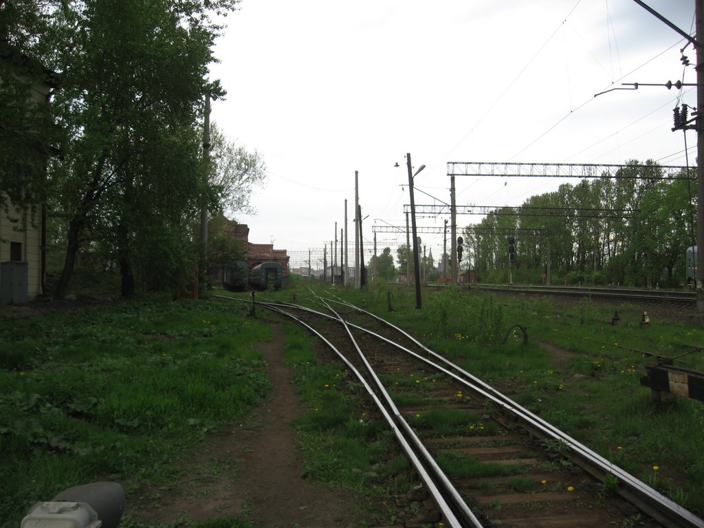 The Railway by Sergey Timofeev