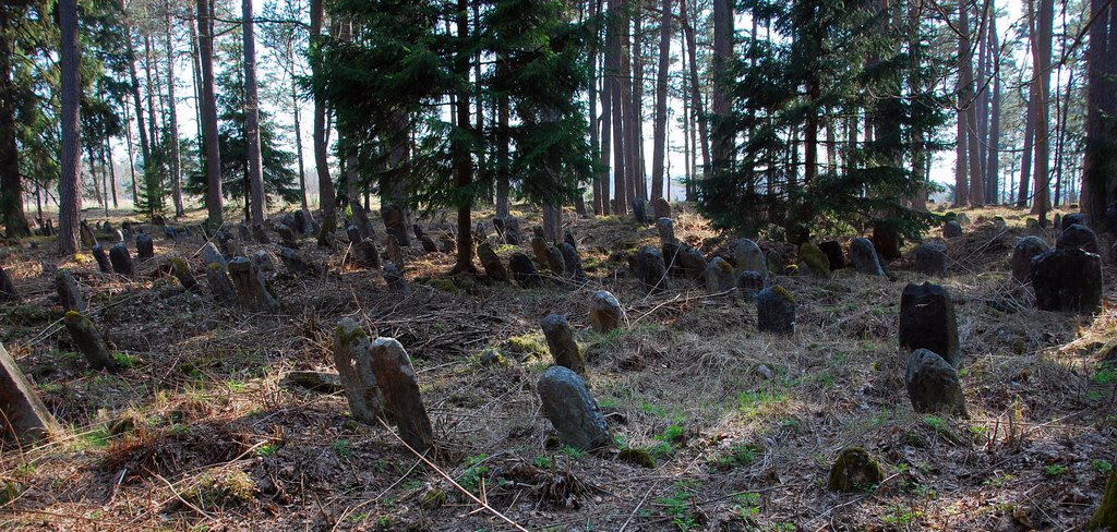 Jewish old cemetery near Salakas,Zarasai district, Lithuania by Renatorius (Reno)