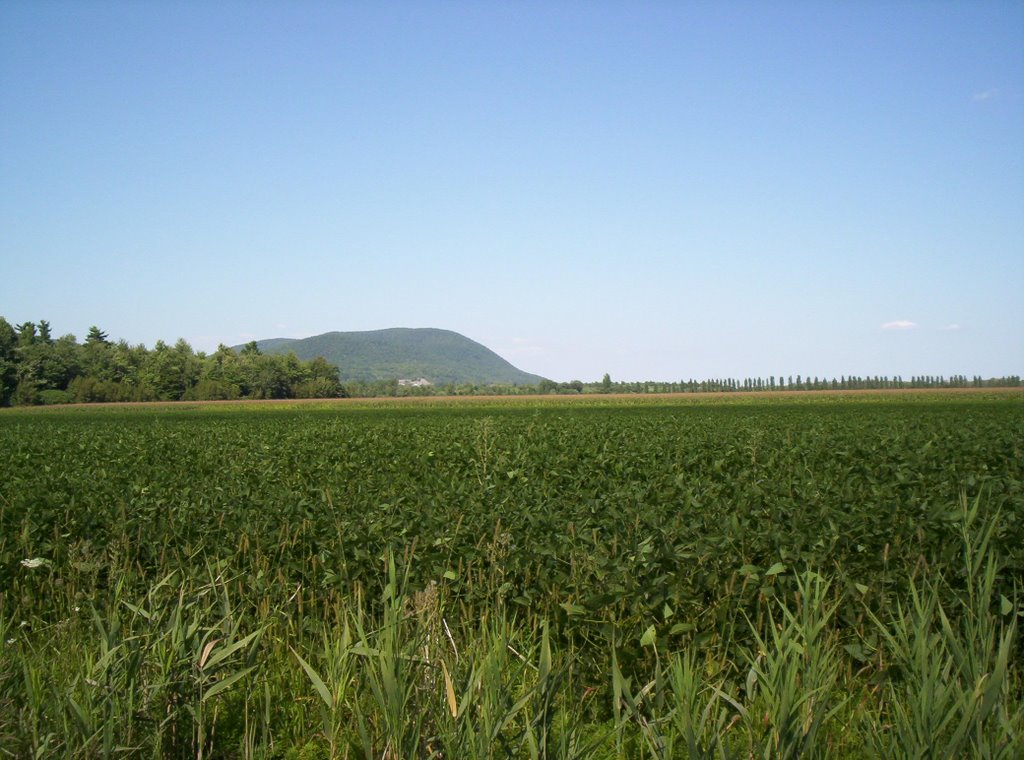 View of St-Hilaire from the south across Spring fields by ABurelle