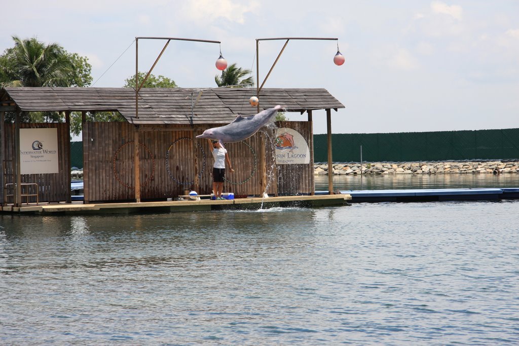 Sentosa Island, Dolphin Lagoon 2009 by Alexandr Voronov