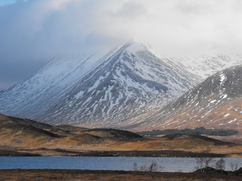 Highland, UK by campbellswan