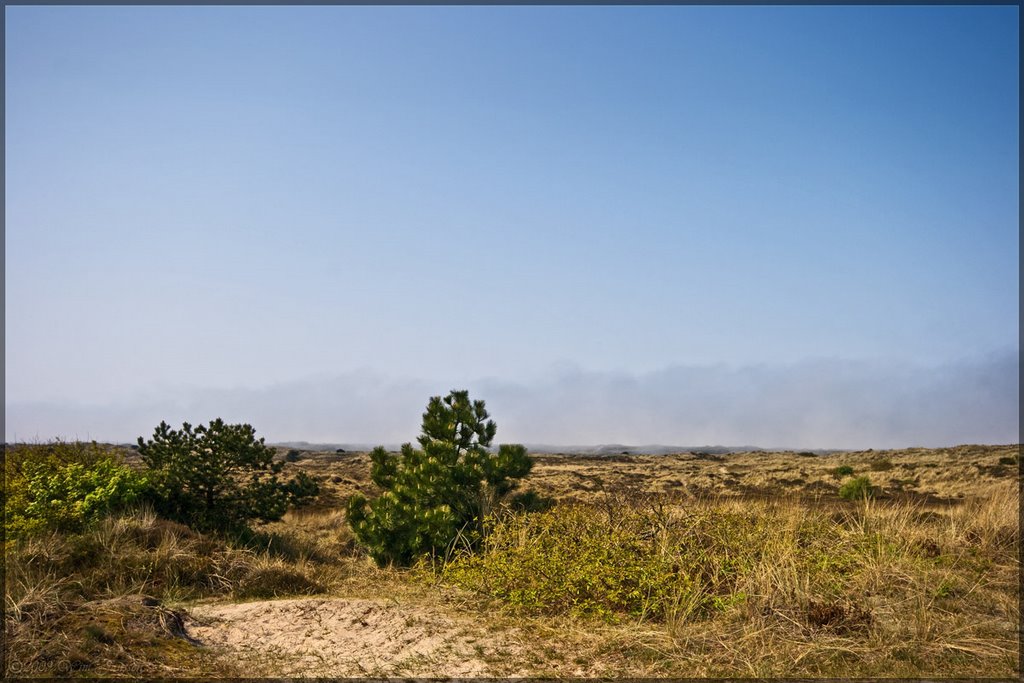 Sea fog coming in. "Koegelwieck", Terschelling by Green Knee