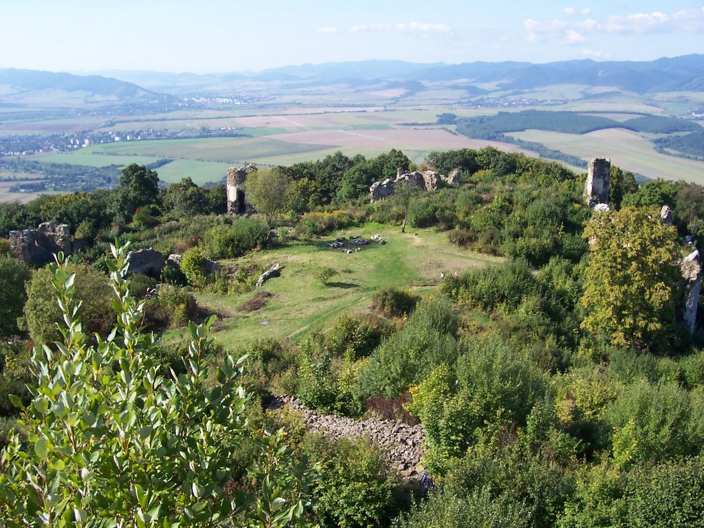 Šarišský hrad by mischo04