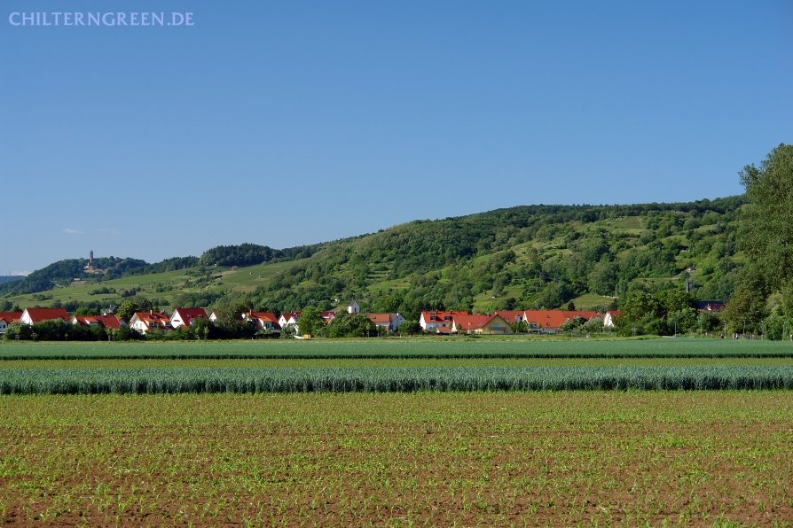 Blick auf Laudenbach und die Bergstraße by Michael Schäfer - chilterngreen.de