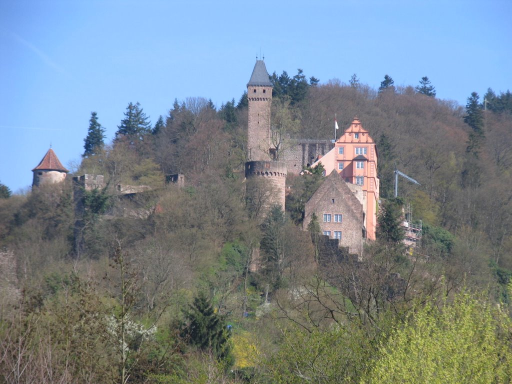 Schloss Hirschhorn by Sepp2001