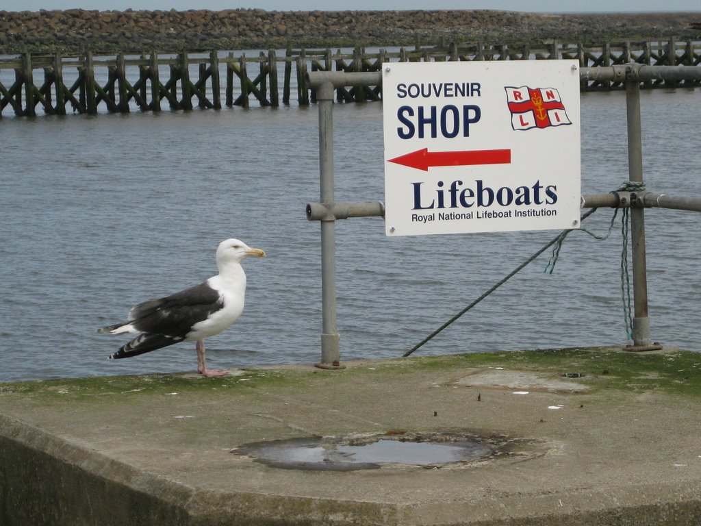 Amble dockside by Sidmotor