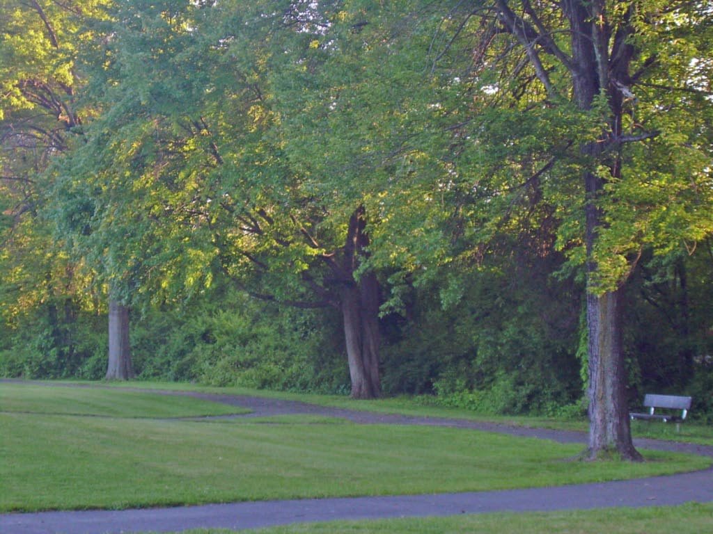 Fairfield, NJ, USA by Morton Fox