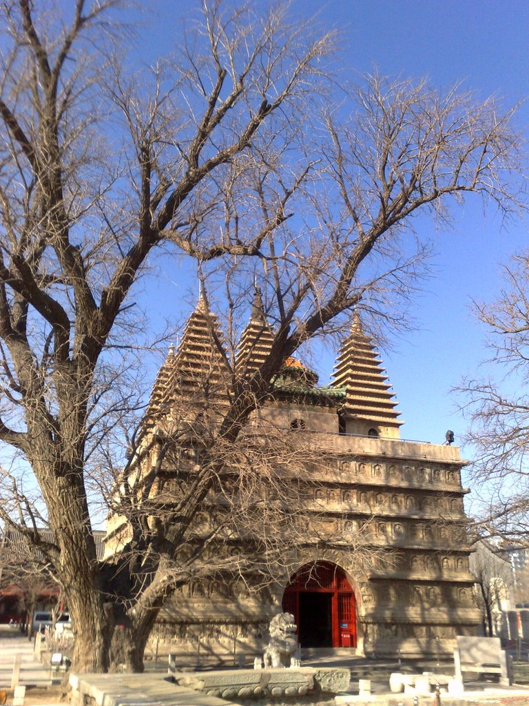 北京 五塔寺 Five Pagoda Temple by Wuyuan Sun 孙午元（小袋鼠）