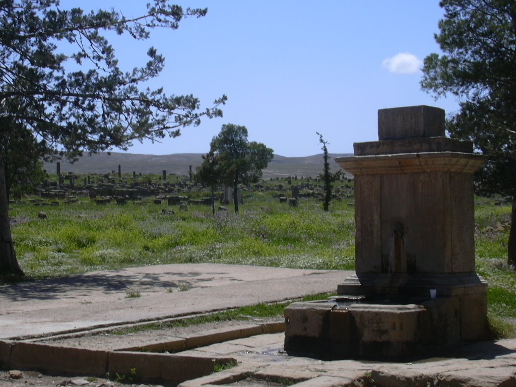 Timgad, Batna, Aurès by arabhamid