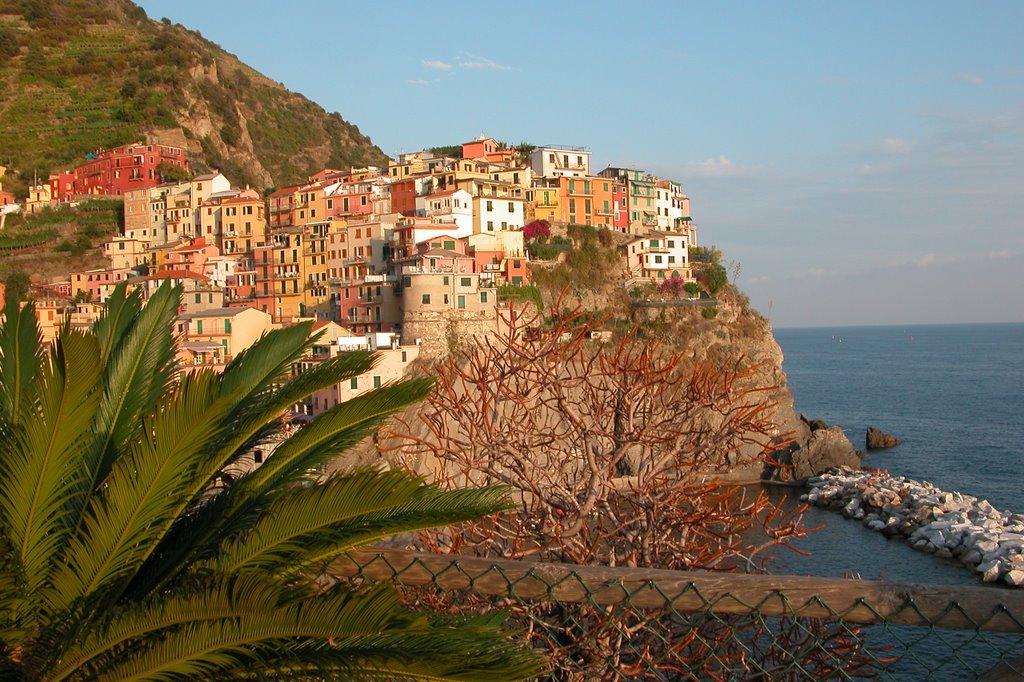 Manarola by Emmanuel Beaugrand