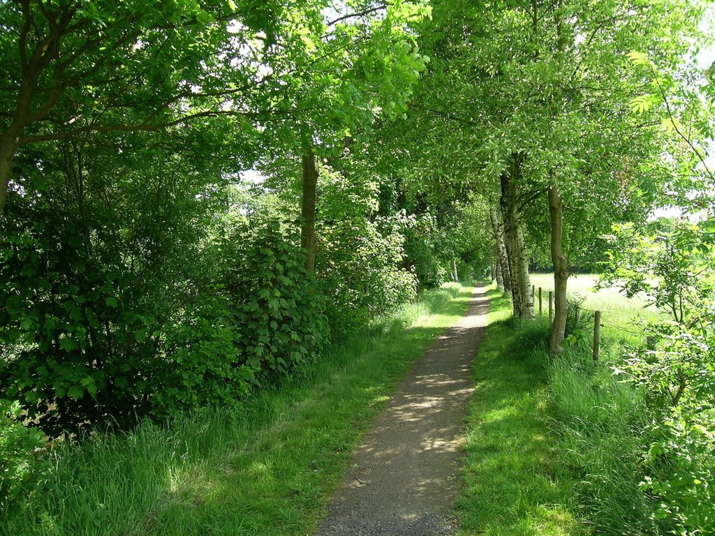 Hude - Wanderweg am Huder Bach by RolloMaster