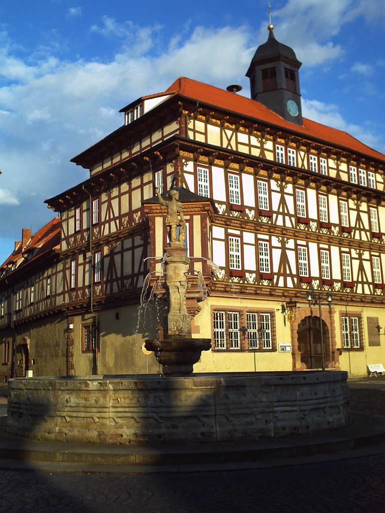 Vitusbrunnen mit Rathaus by Veromy