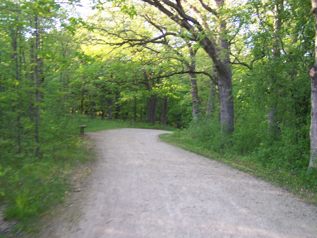 Forest preserve by fleder