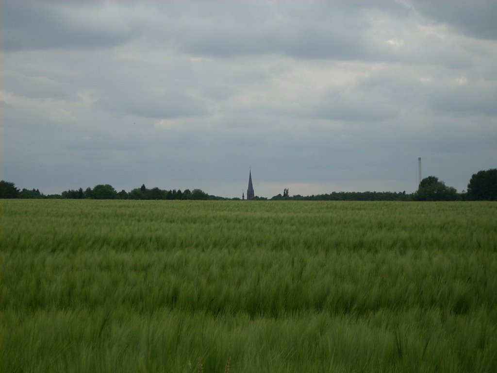 Herne-Holthausen Mai 2009 by DortmundWestfalica