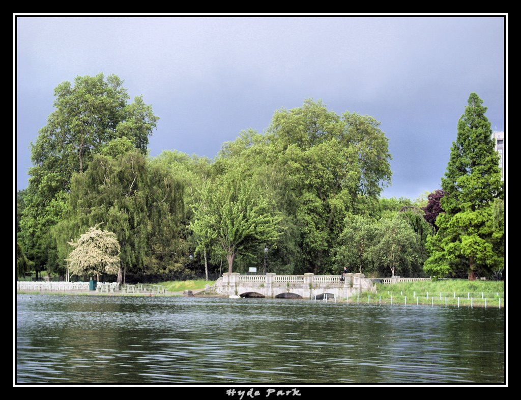 Hyde Park by moofy