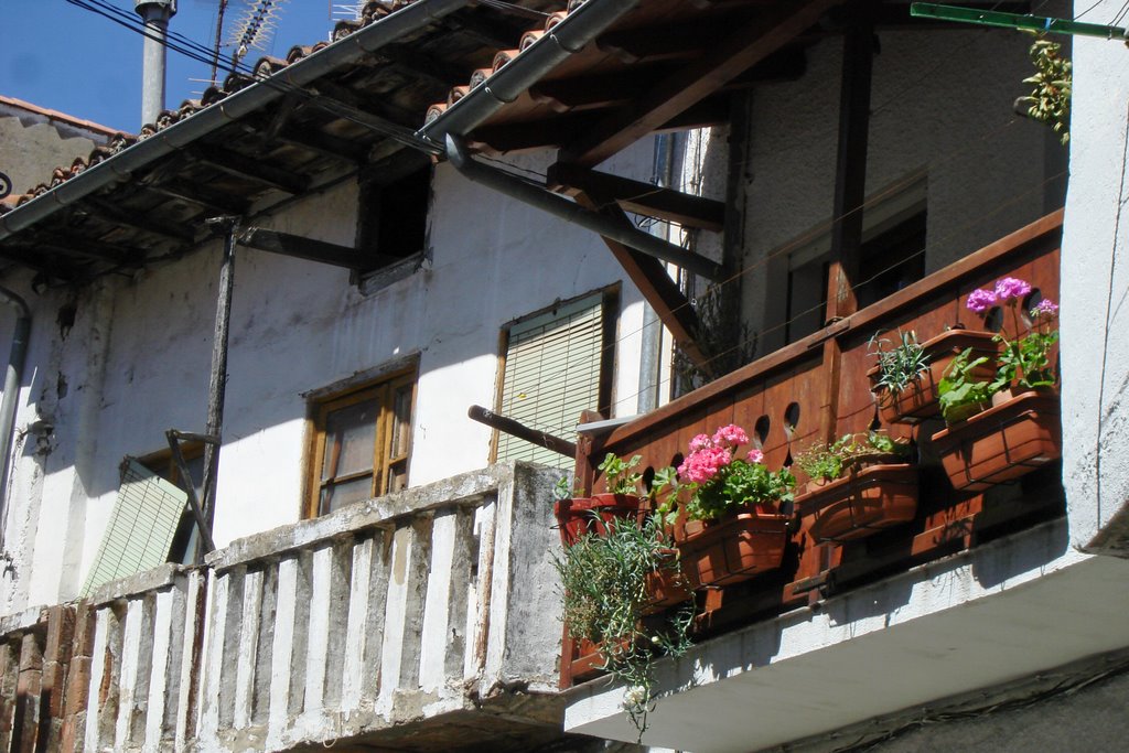 BALCON (CUEVAS DEL VALLE) by CIPRIANO PULIDO VINU…