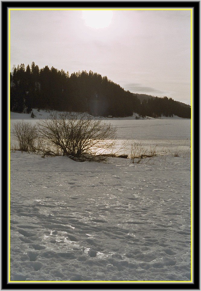 Lac des Taillères gelé, hiver 05 by monsieur-hulot