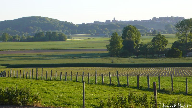 En regardant vers le mont Cassel - 220509 - by Daniel Herlent