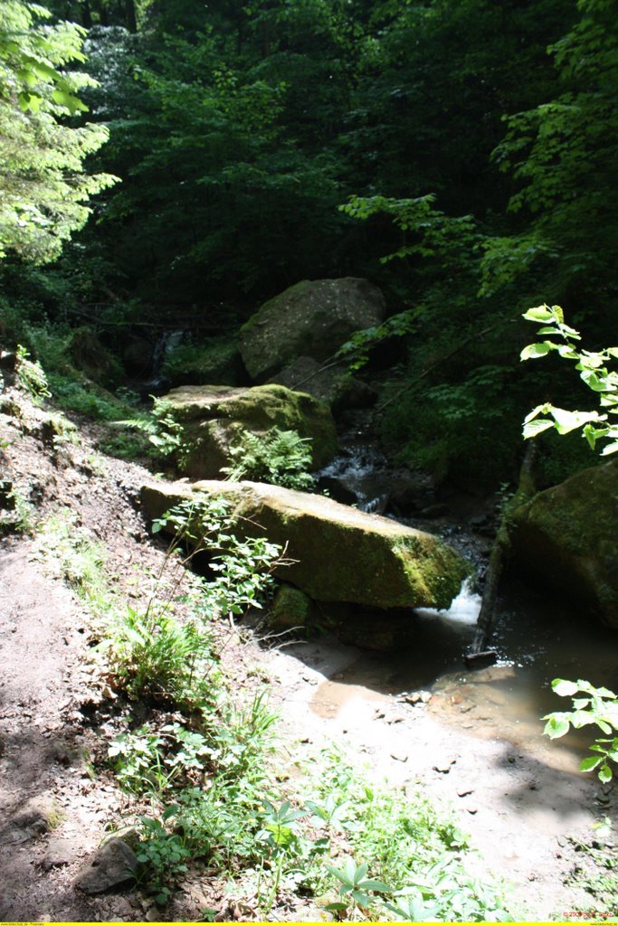 Hörschbach Wasserfälle (Waterfalls) Wanderweg by G.Stotz